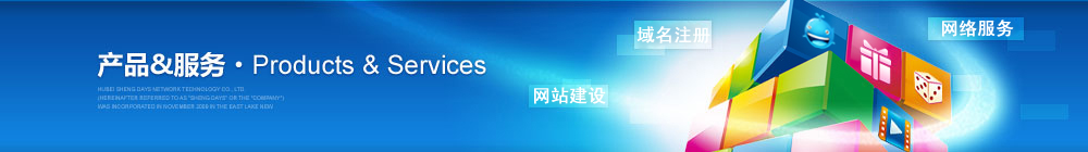 系统定制